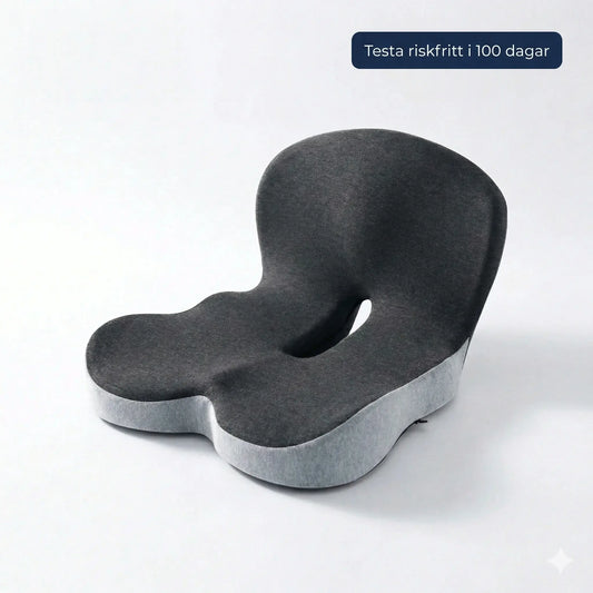 Posture Seat - Ergonomisk sittkudde för bättre hållning